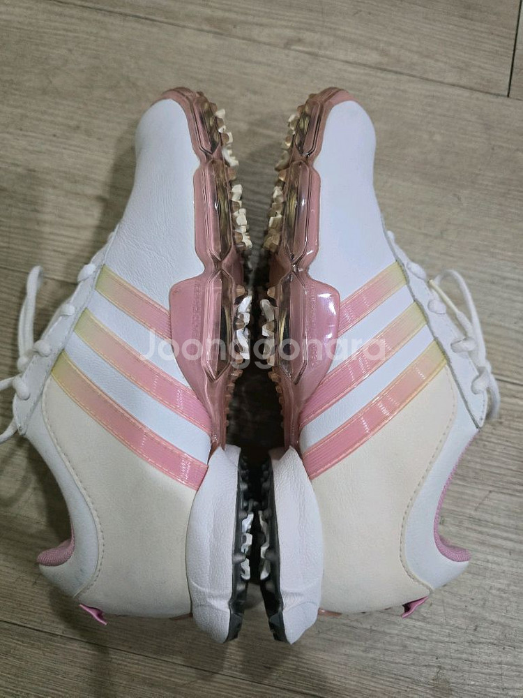 아디다스 골프 여성가죽 골프화 230~5mm--4