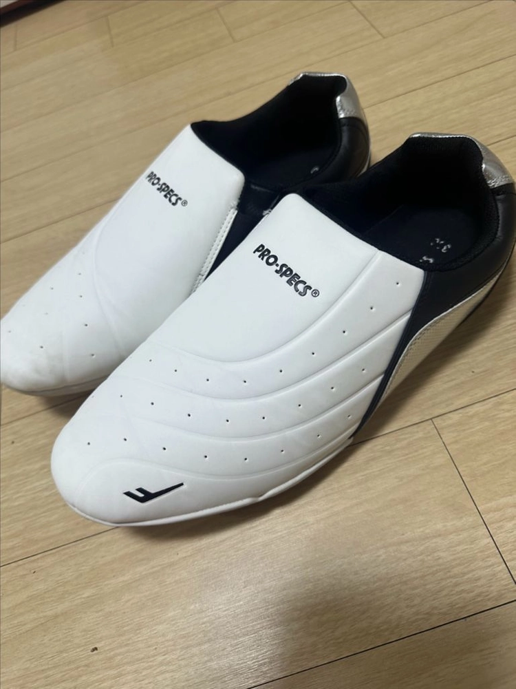 프로스펙스 탁구화 300 이미지
