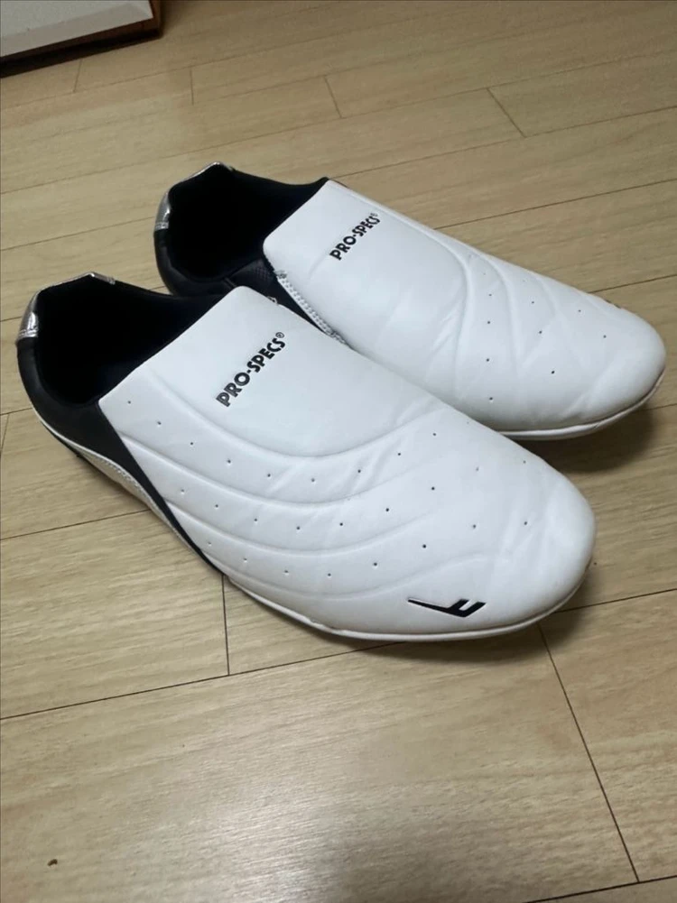 프로스펙스 탁구화 300 이미지