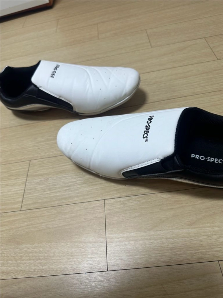프로스펙스 탁구화 300 이미지