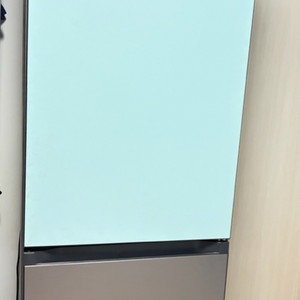 삼성 비스포크 2도어 냉장고 (333L, 22년식) 판매해요 (상태 깨끗)