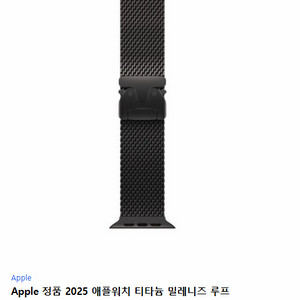 티타늄 밀레니즈 루프 블랙