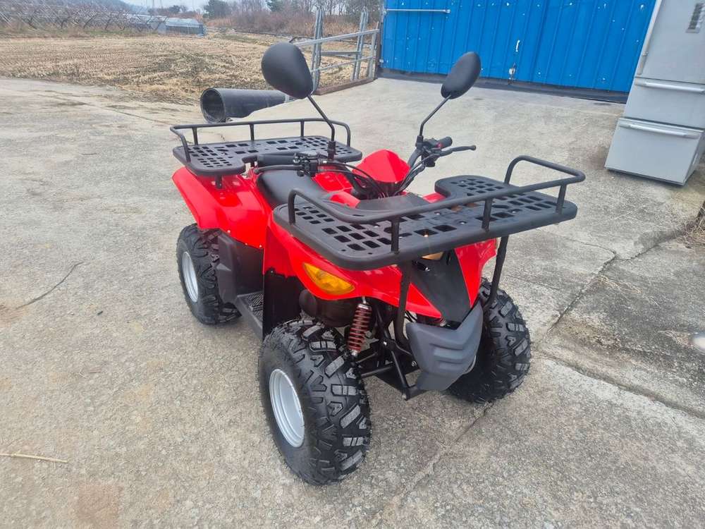 국산 대림 올코트 100cc 4륜 오토바이 ATV 중고 사발이 이미지