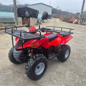 국산 대림 올코트 100cc 4륜 오토바이 ATV 중고 사발이 이미지