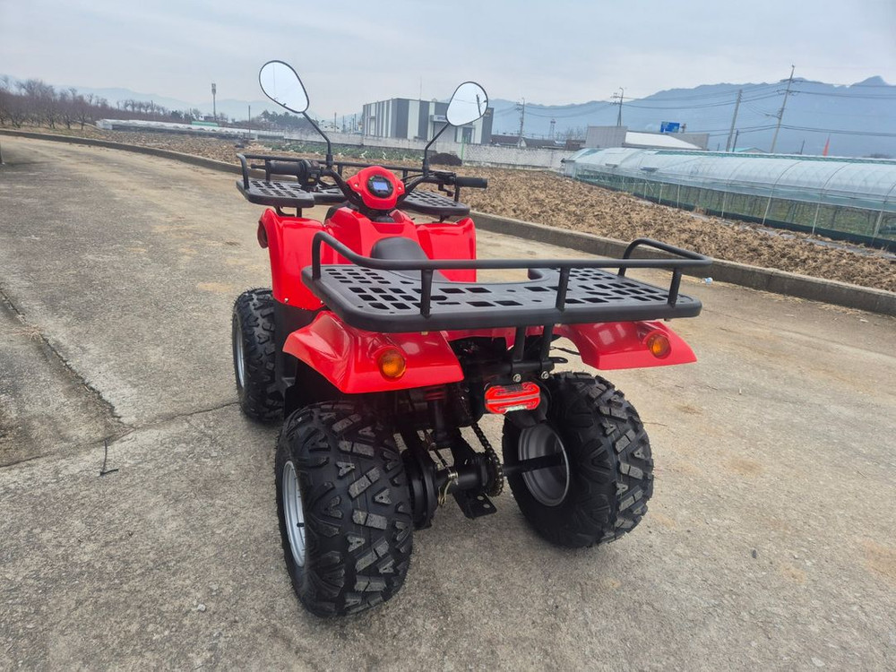 국산 대림 올코트 100cc 4륜 오토바이 ATV 중고 사발이 이미지