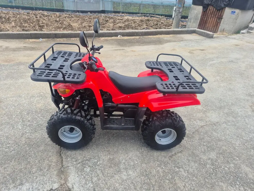 국산 대림 올코트 100cc 4륜 오토바이 ATV 중고 사발이 이미지