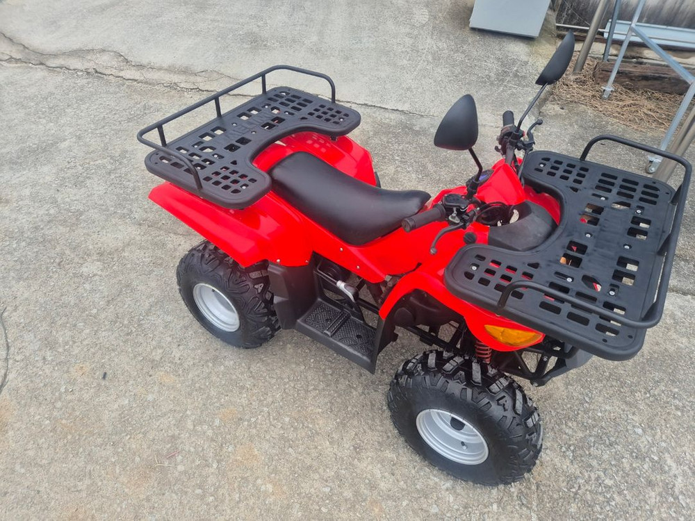 국산 대림 올코트 100cc 4륜 오토바이 ATV 중고 사발이 이미지