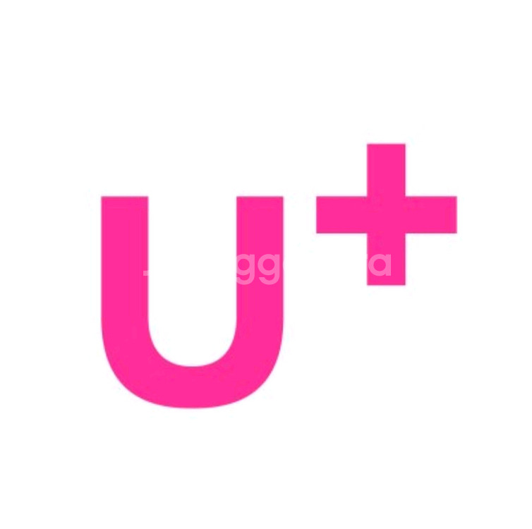 LG 유플러스 데이터, U+ 데이터 / 1기가, 1GB 1,600원 / 2기가, 2GB 2,900원--0