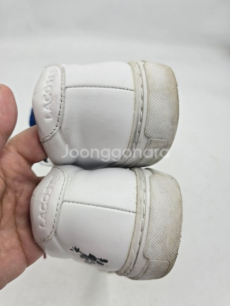 라코스테X미키마우스 스니커즈235(36)--5