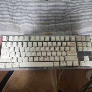 커스텀 TKL 키보드 베놈88he 판매합니다