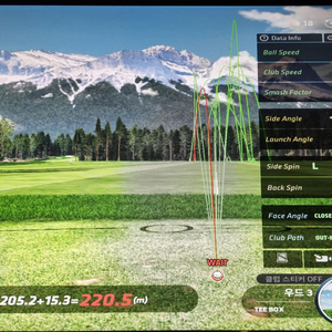 스크린 타석 중고거래 | 중고나라 - 안심되는 중고거래