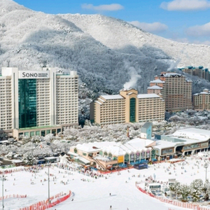 비발디파크 소노벨(B,C동) 스위트 12월 31일