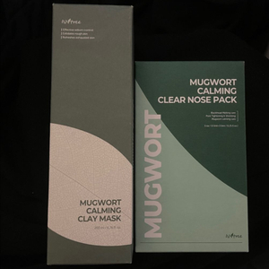 이즈앤트리 머그워트 카밍 클레이 마스크 200ml+코팩