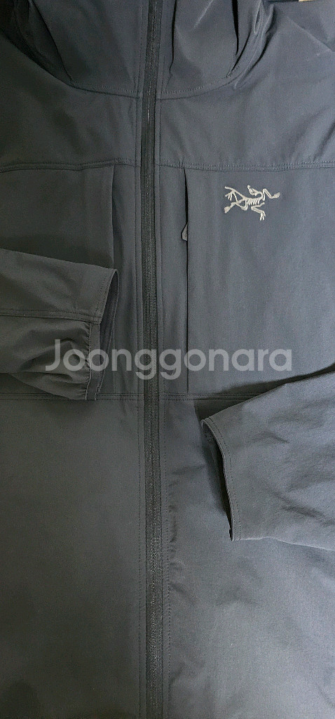 아크테릭스 감마LT후디맨--2