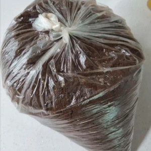 린클 미생물 2kg