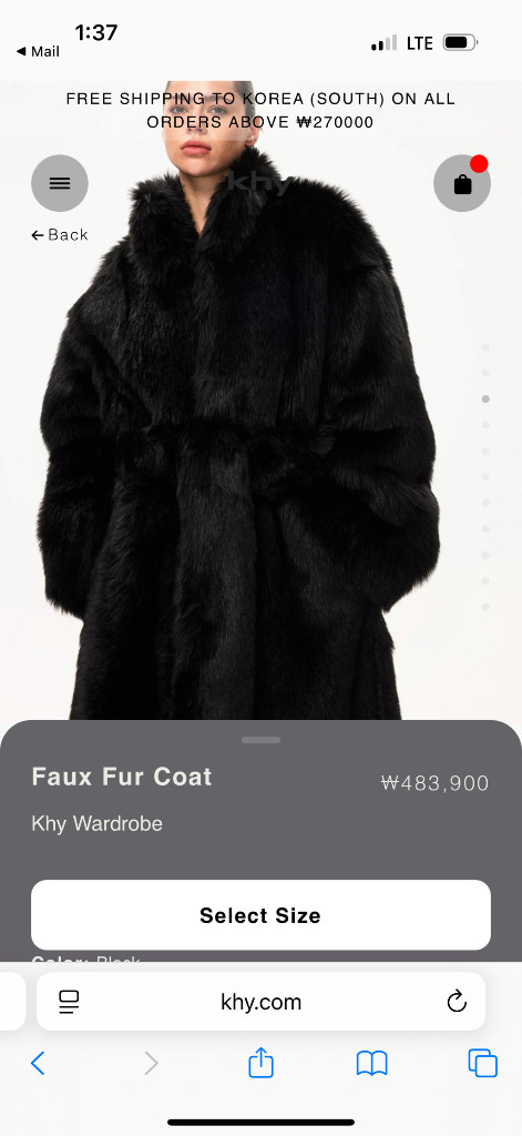 (교환가능)카이 폭스 퍼 코트--1