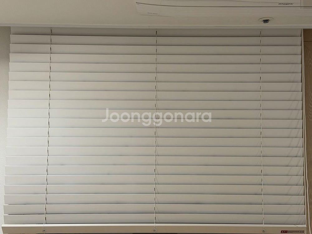 뷰티홈x하일리힐즈 작가 갤러리 블라인드--3