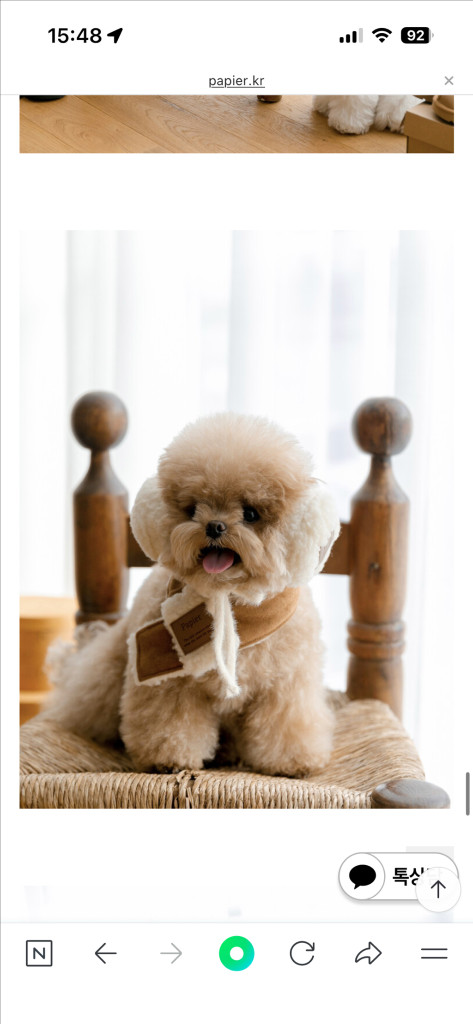 파피어 양털 귀마개&머플러 / 어썸퍼피 양털 하네스--4