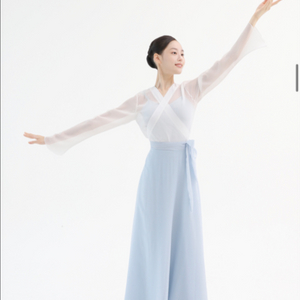 한국무용 (메시아)