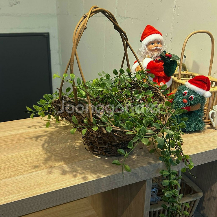 유럽 빈티지바구니 새둥지나무바구니 우드바스켓장식소품--1