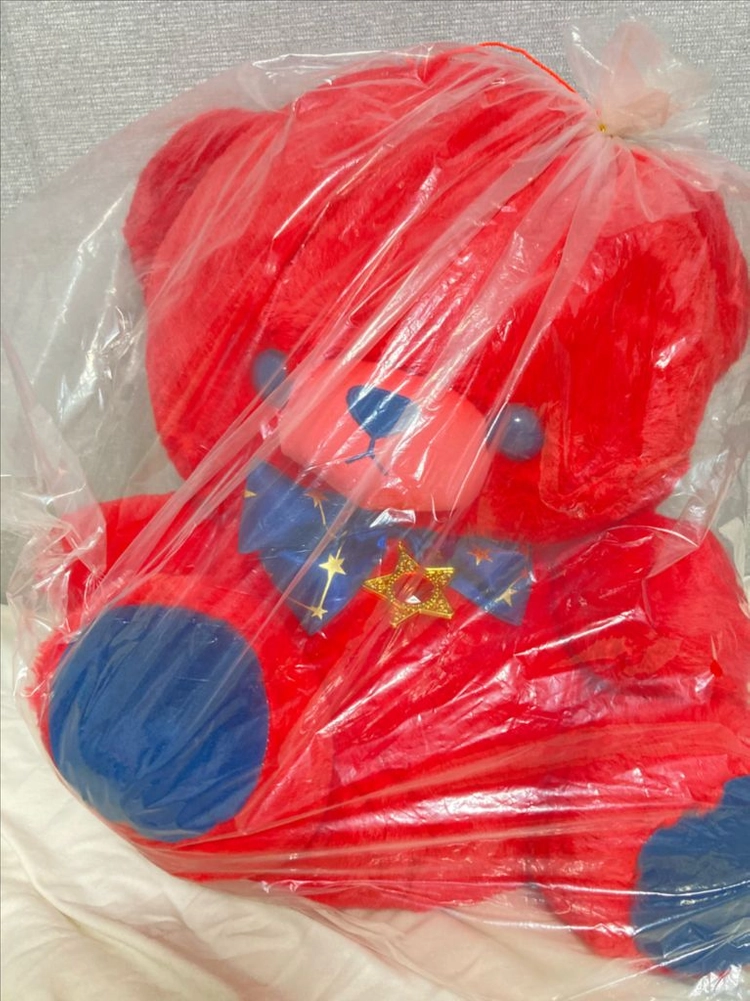 50cm 대형 빨간 곰인형 이미지