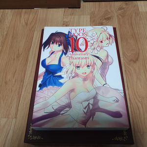 타입문 10주년 + 카니발 판타즘 + 페이트 판타즘 이미지