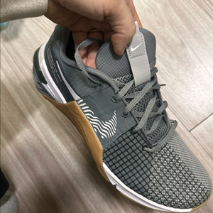 메트콘 8 (US11, 290)