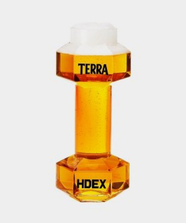 테라 TERRA HDEX 덤벨 맥주잔 판매합니다 이미지