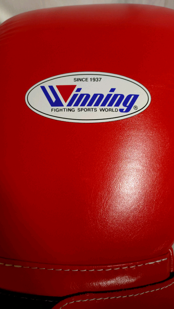 위닝 16온스 글러브--3