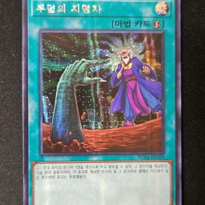 유희왕 무덤의 지명자 시크릿 레어 (Secret Rare) 이미지