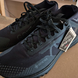 새제품)고어텍스 페가수스 260