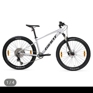 24년 자이언트 타론0