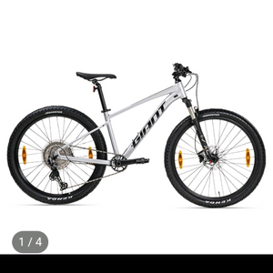 24년 자이언트 타론0