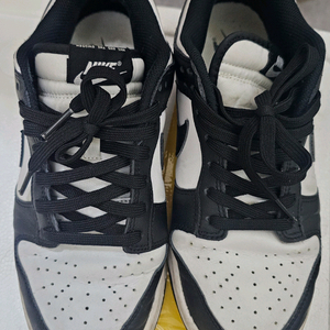 나이키 덩크로우 범고래 245