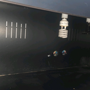 3자 자온조사육장 + 그리스 육지거북 분양합니다.