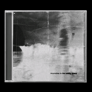 더 폴스 앨범 Anomalies in the [미개봉]
