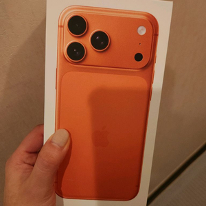 아이폰17 프로맥스 256 오렌지