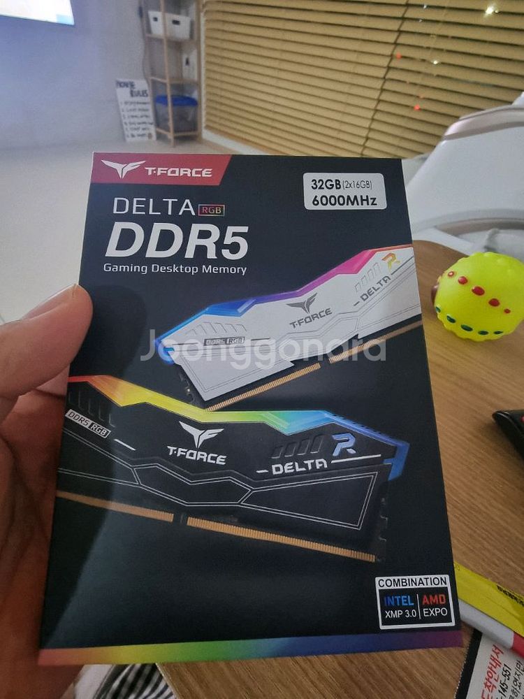 T-Force Delta DDR5 32GB 6000MHz 팝니다--0