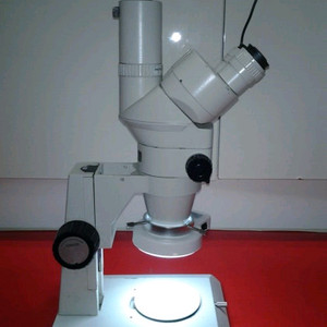 니콘 SMZ-2T 3안실체현미경 싸게판매합니다 이미지