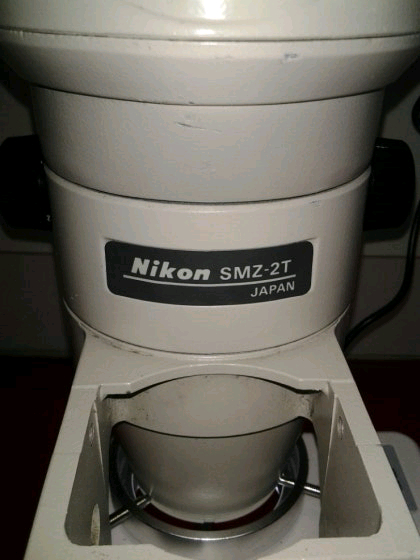 니콘 SMZ-2T 3안실체현미경 싸게판매합니다 이미지