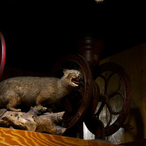 [빈티지] 커피관련 주전자 그라인더 판매 이미지