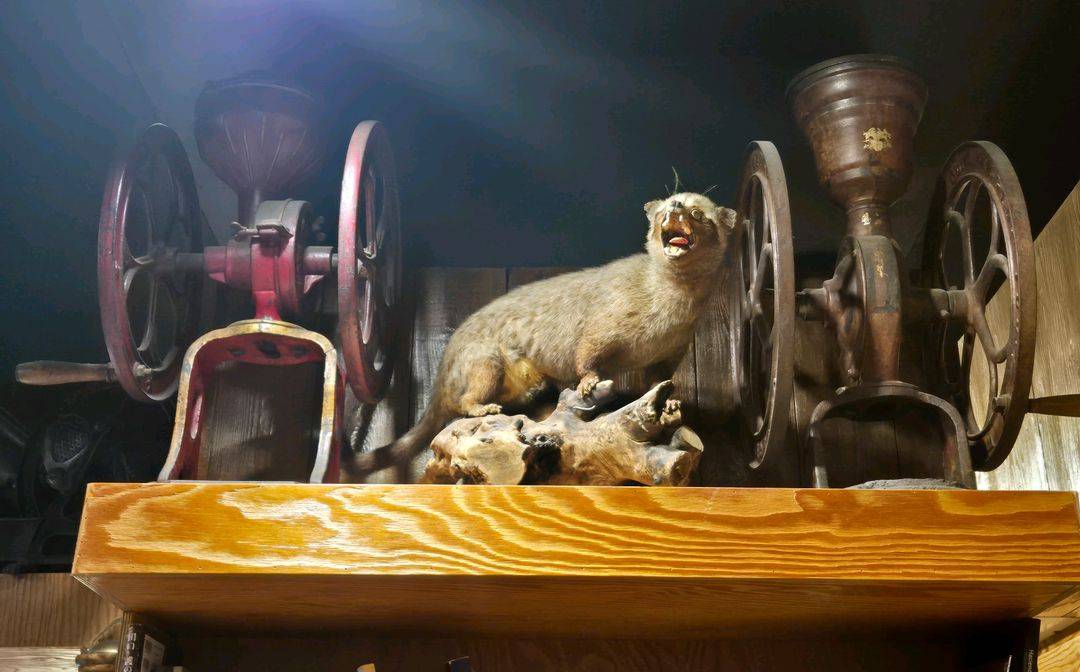 [빈티지] 커피관련 주전자 그라인더 판매 이미지