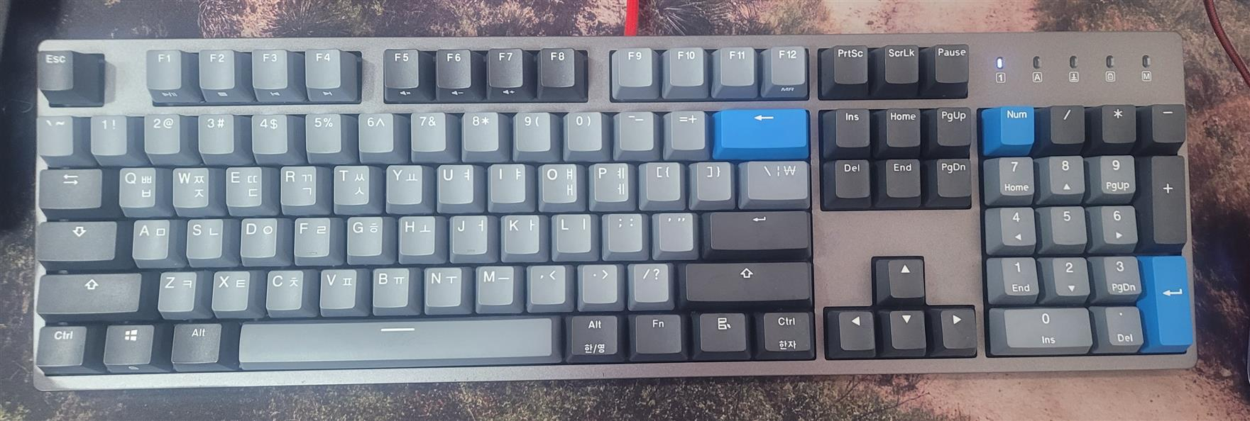 스카이디지탈 드루갓 k310 은축--1