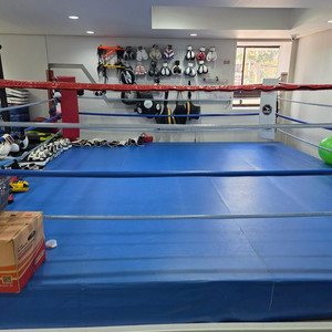 복싱, 킥복싱용 사각 링