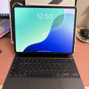 아이패드 프로 m4 13인치 256기가 스블 와이파이 풀박+매키+애펜프로 풀세트