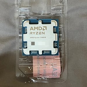 라이젠 9600X