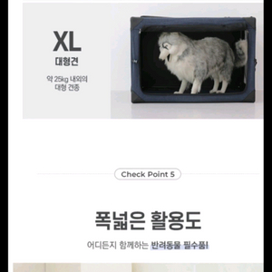 반려동물 소프트 캐리어