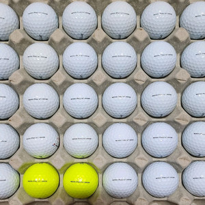 A+급 24년형 타이틀리스트 PROV1 로스트볼 골프공