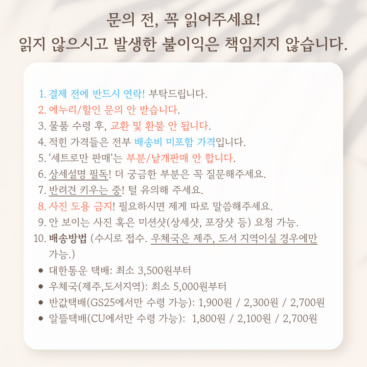 극장판 바이올렛에버가든 외전 영원과자동수기인형 굿즈패키지특전 에이미의편지 이미지