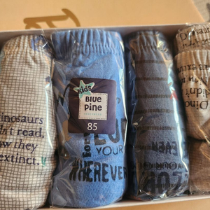 키즈 팬티 5종 세트 새상품